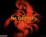 Le Scorpion